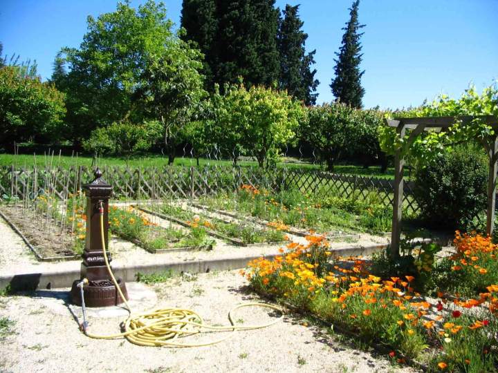 Création de jardin Saint-Paul-Trois-Châteaux