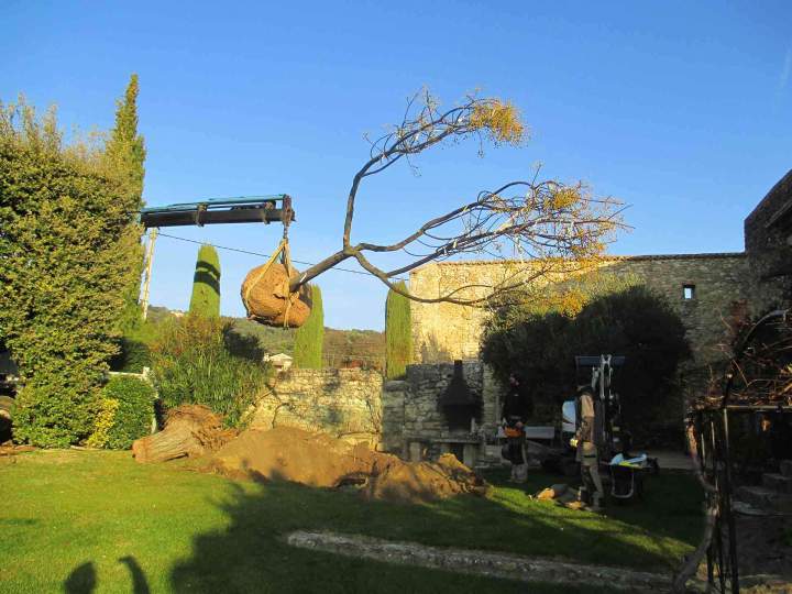 Entretien de jardin Saint-Paul-Trois-Châteaux